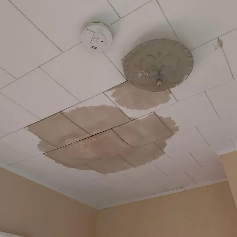 Ceiling Water Damage Repair in Farmville, NC