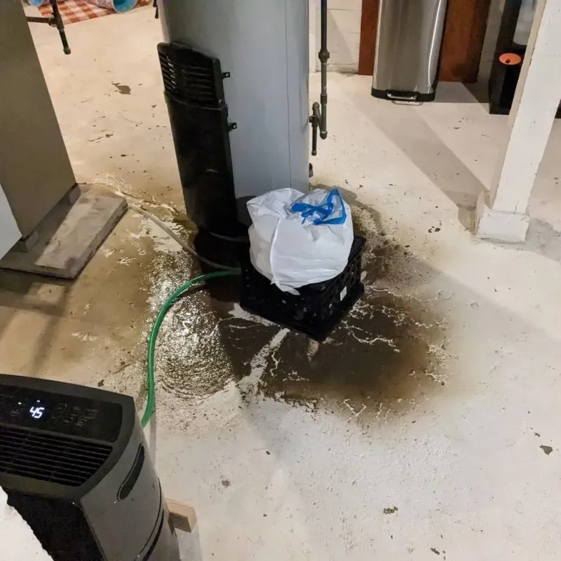 Sewage Backup Cleanup Service in Farmville, NC